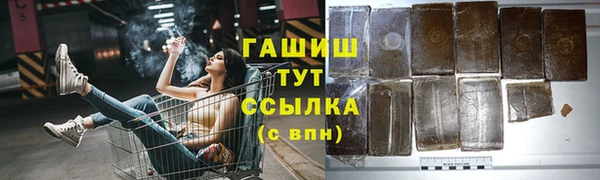 гашик Алексин
