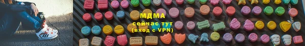 гашик Алексин