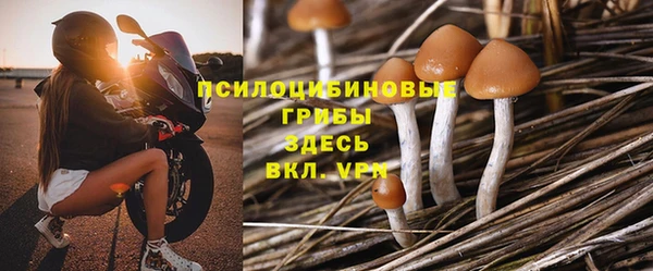 гашик Алексин
