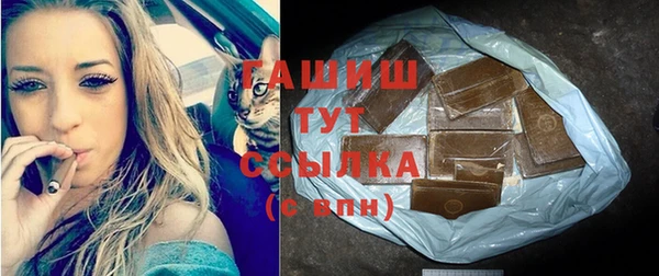 гашик Алексин