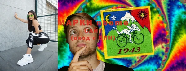 гашик Алексин