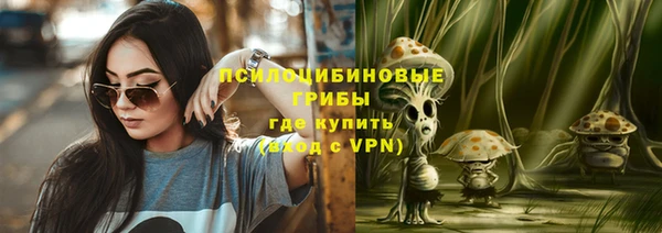 твердый Алзамай